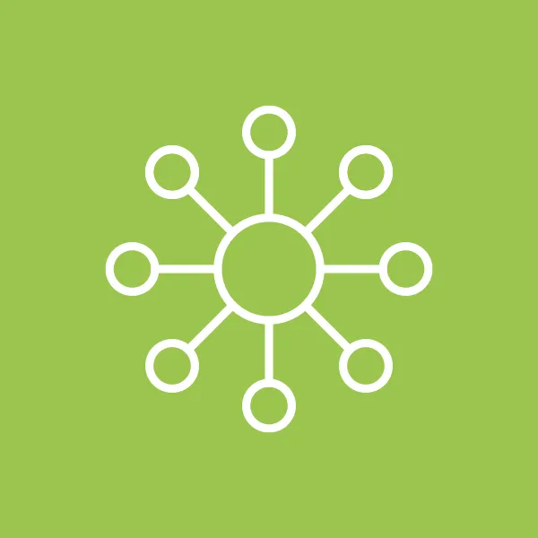 Ensuring Excellence Through Review